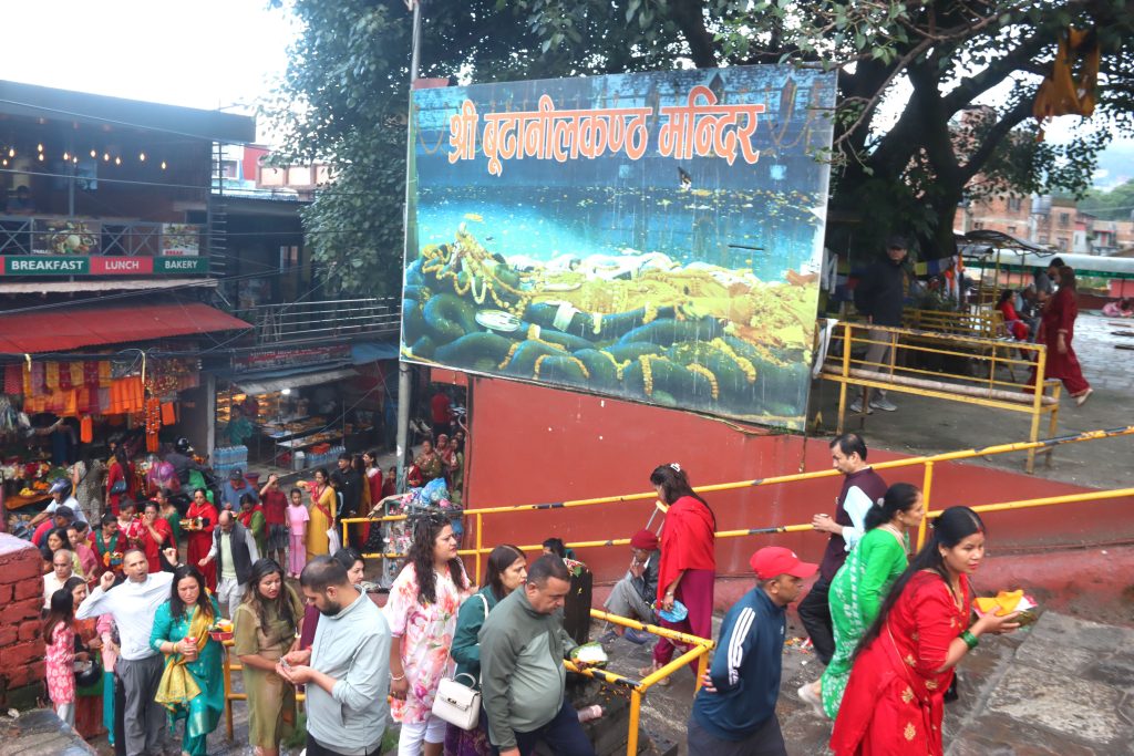 आज हरिशयनी एकादशी : तुलसीको बिरुवा सारिँदै