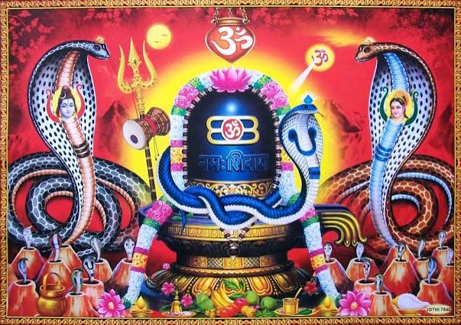 नागको पूजा, आराधना गरी नागपञ्चमी पर्व मनाइँदै