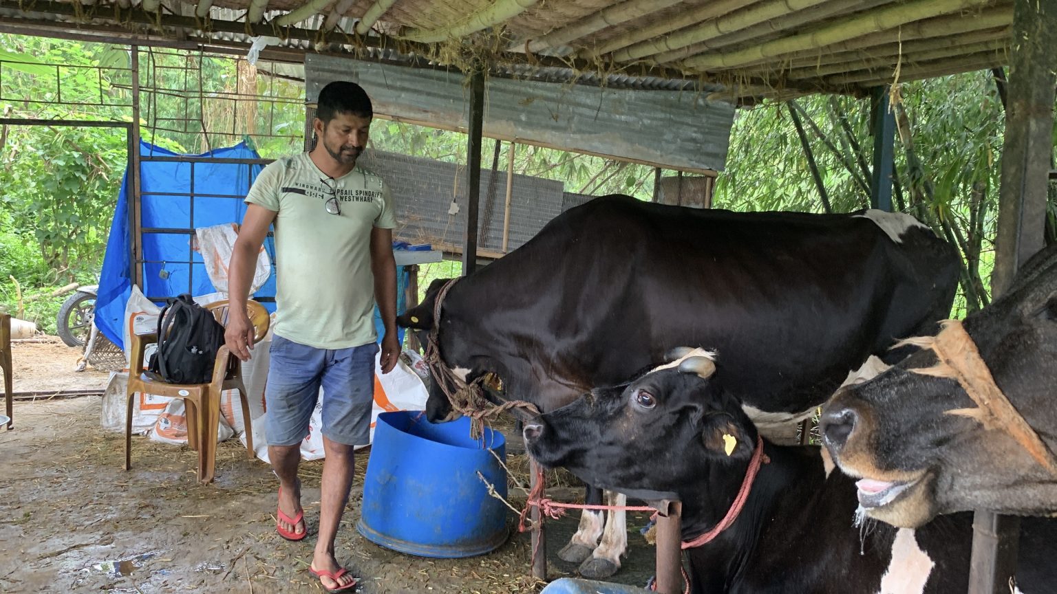 तिवारीको प्रेरणादायी सफलता कथा