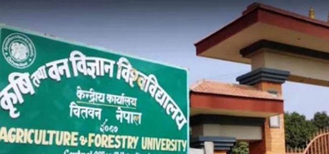 विश्वविद्यालय सुधारको अवसर